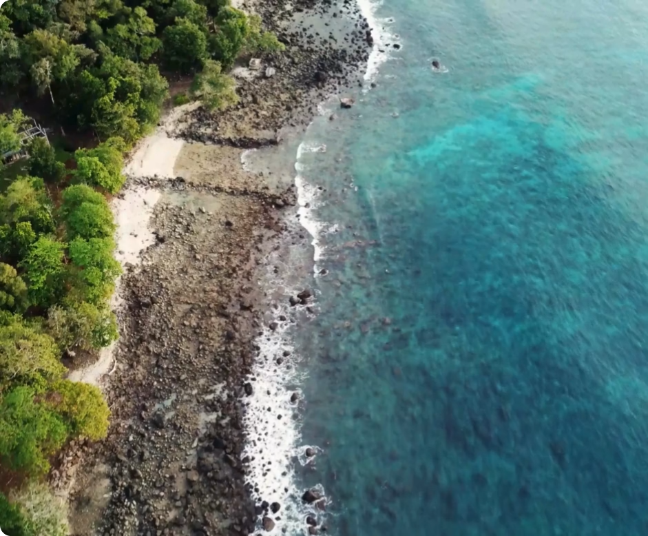 All on 4 Mexico video placeholder